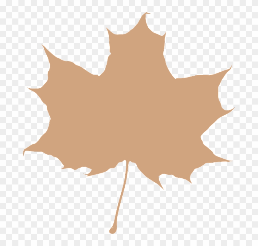 Maple Leaf Silhouette #1018473