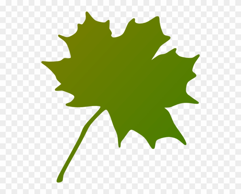 Green Maple Leaf Clipart #1018627