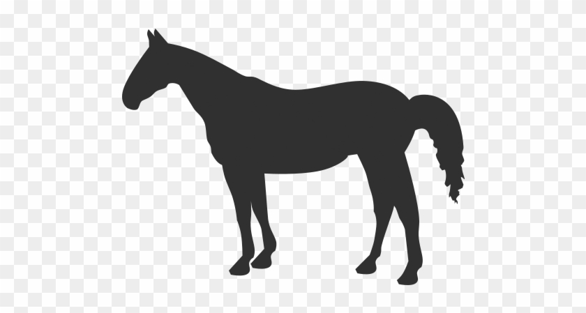 Horse Silhouette Quarter Horse #1018663