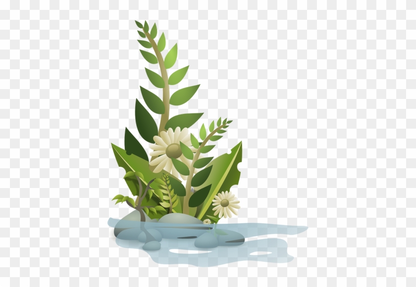 Vector Graphics Of Selection Of Plants In Water - Plant Clip Art #1018716