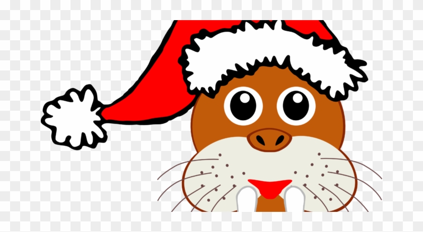 Santa Hat Clipart Photos - Seal Santa Note Cards (pk Of 10) #1018721