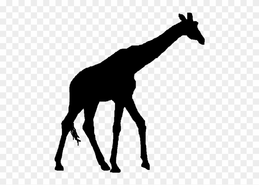 Giraffe Head Silhouette Clip - Giraffe #1018750