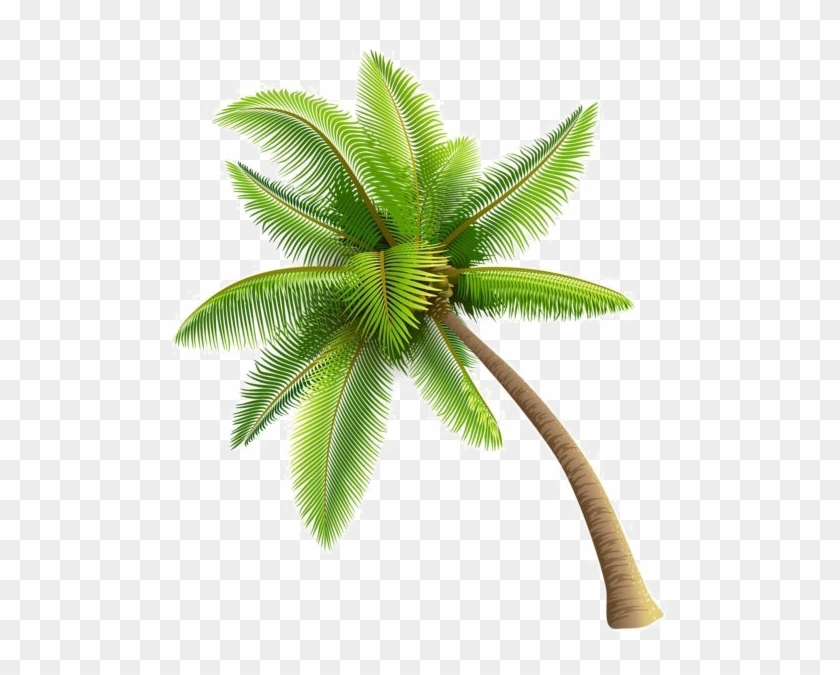 Coconut Tree Png Image Background - Palm Tree Gif Transparent #1018752