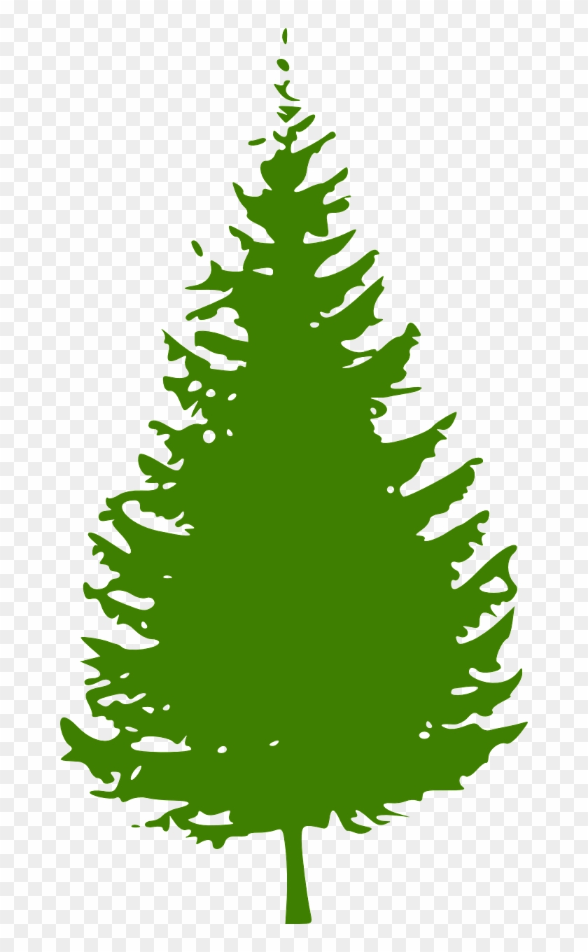 Spruce Conifer Tree Nature Pine Png Image - Pine Tree Silhouette Transparent Background #1018809