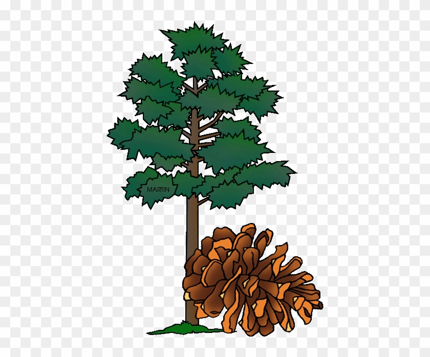 Minnesota State Tree - Minnesota State Tree Clipart #1018819