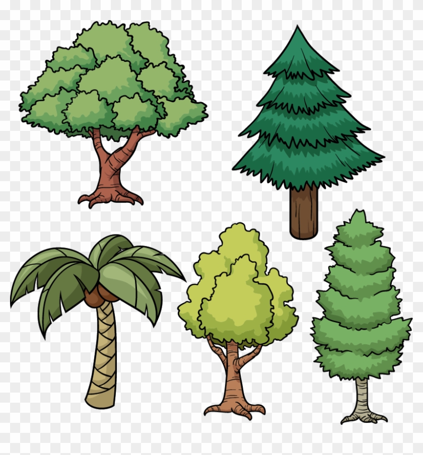 Tree Drawing Cartoon Pine - Cartoon Picture Of Trees #1018833