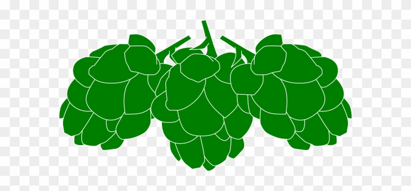 Hops Clipart #1018853
