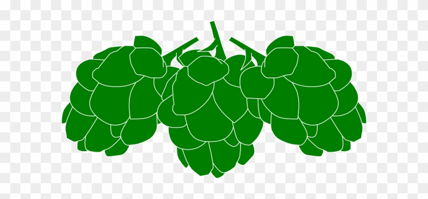 Hops Clipart #1018853