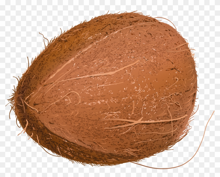 Coconut Clipart Coconut Husk - Кокос Пнг #1019195