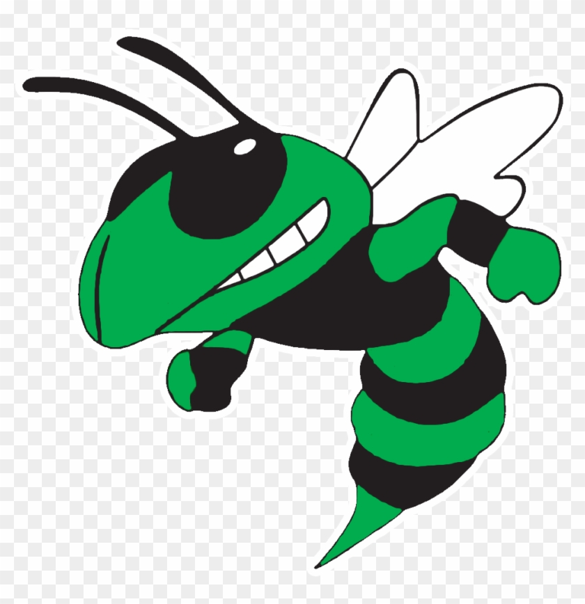 Hornet Clipart Albany - 10x3 Green Hornet Believe And Achieve Bumper Sticker #1019198