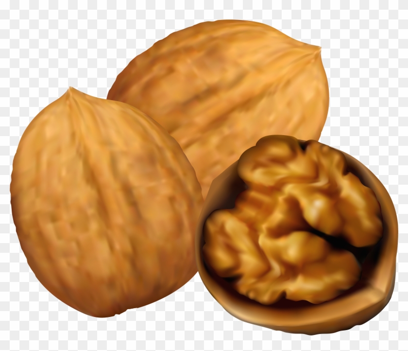 Walnuts Png Clip Art - Walnut Clipart Png #1019212