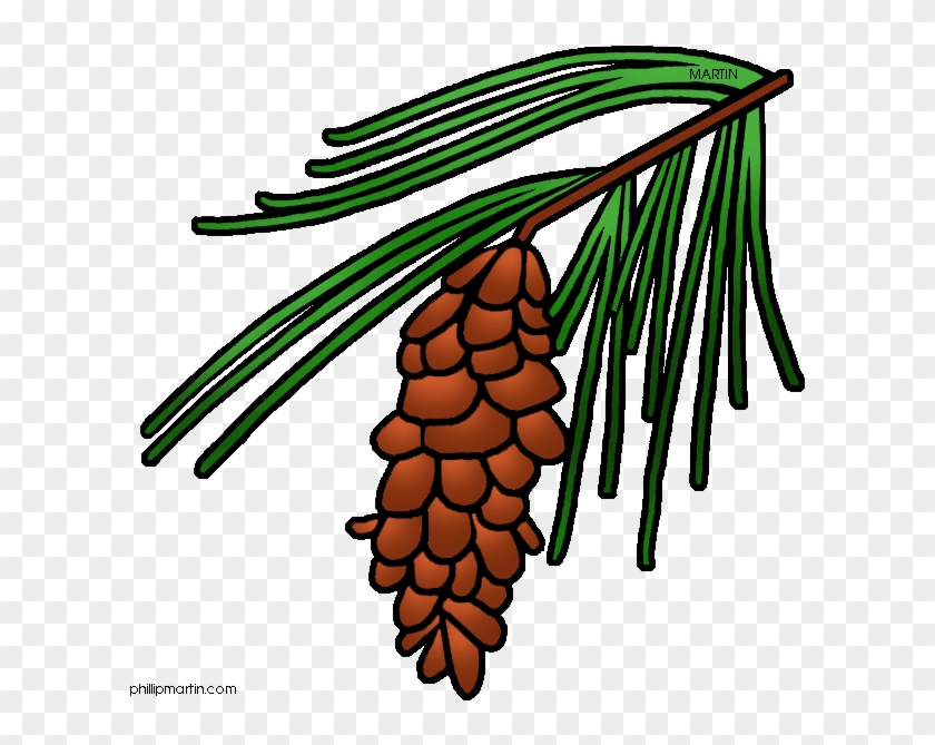 North - Carolina - Clipart - Pine Cone Tree Clipart #1019215