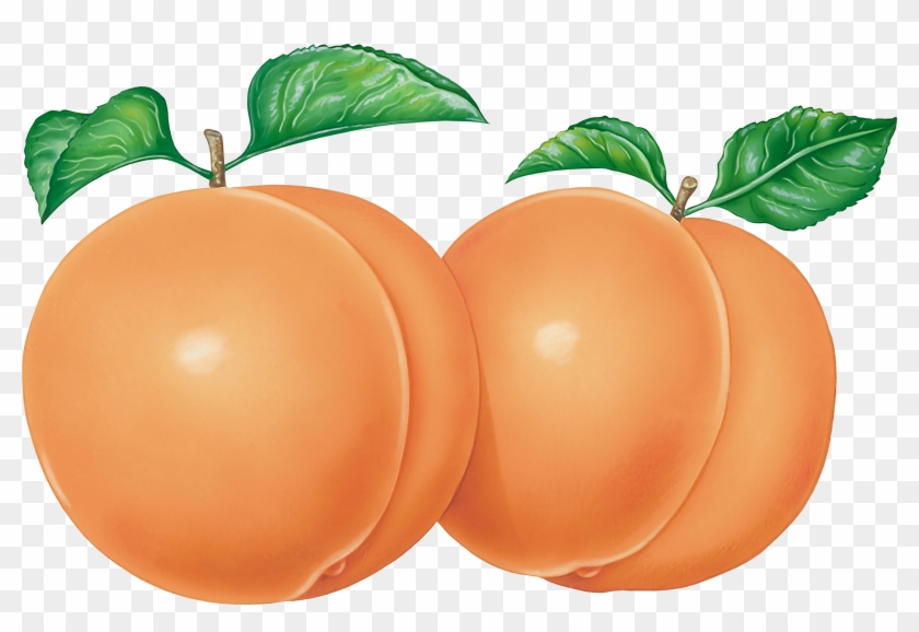 Peach Clip Art Png #1019218