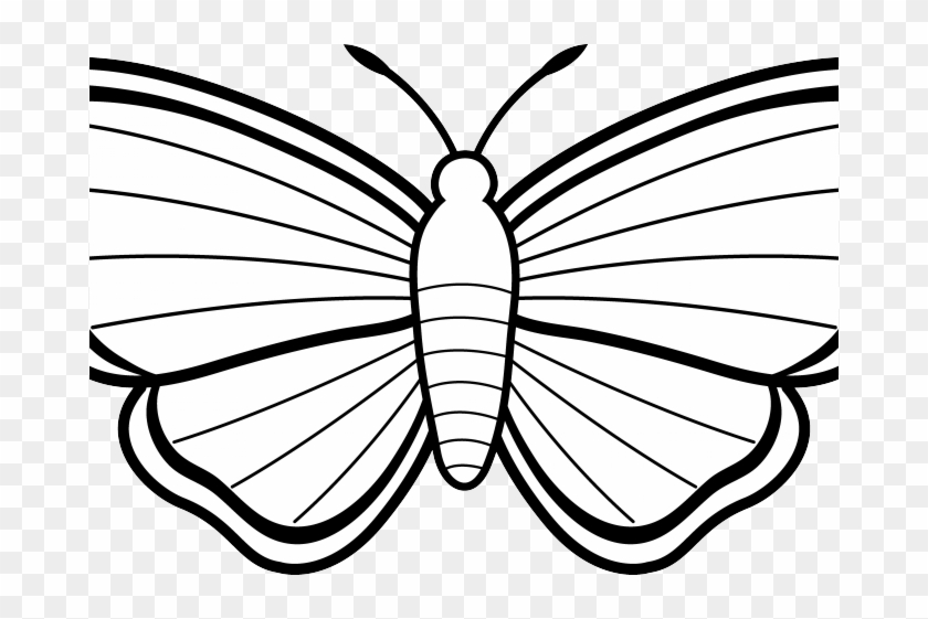 Butterfly Black And White Clip Art Clipart Of Butterflies - Colouring Images Of Butterfly #1019466