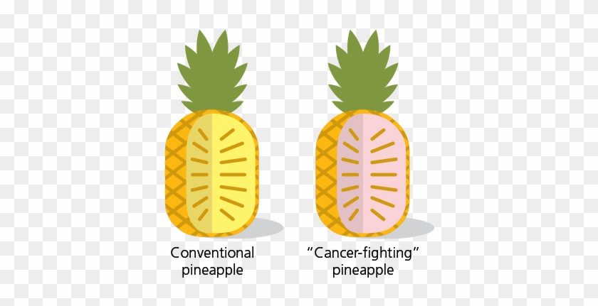 Figure 4 - Pineapple - Pineapple #1019541