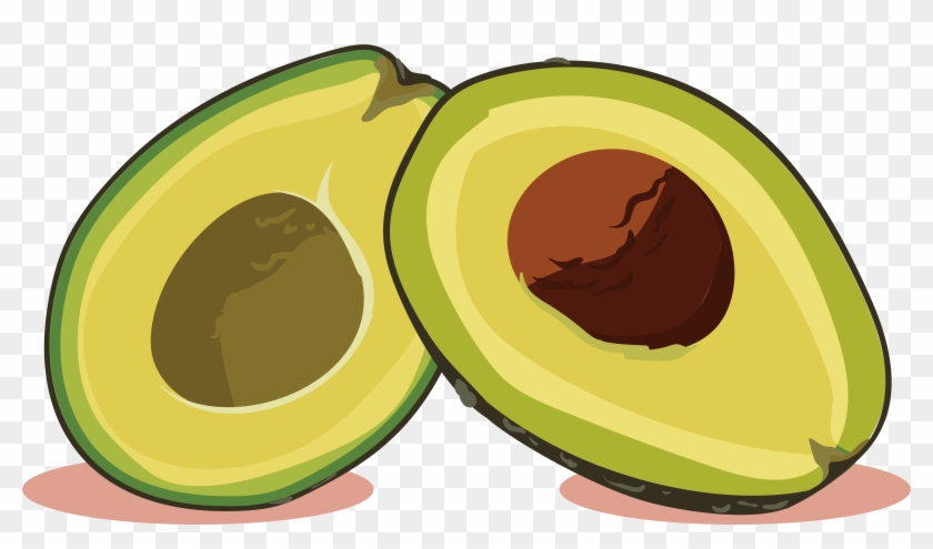 Avocado Euclidean Vector Computer File - Aguacate Vector Png #1019550