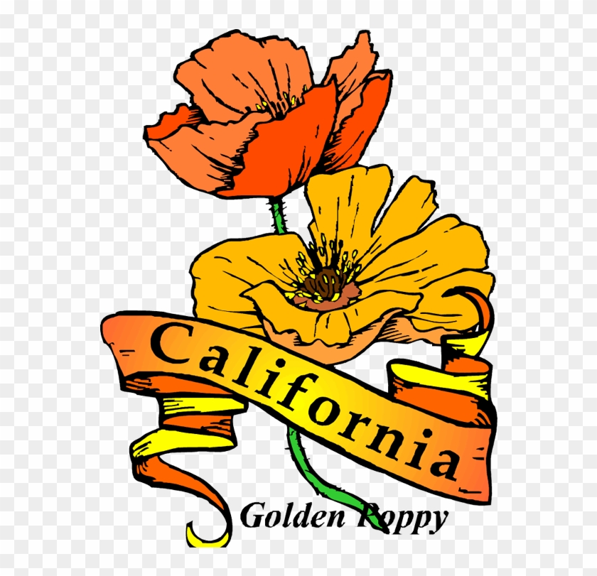 California Poppy - California Throw Blanket #1019561