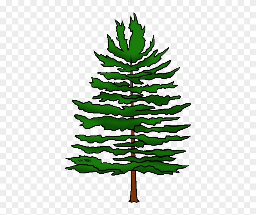 Michigan State Tree White Pine - Longleaf Pine Tree Clipart #1019582