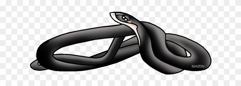 Ohio State Reptile - Black Snake Clip Art #1019587