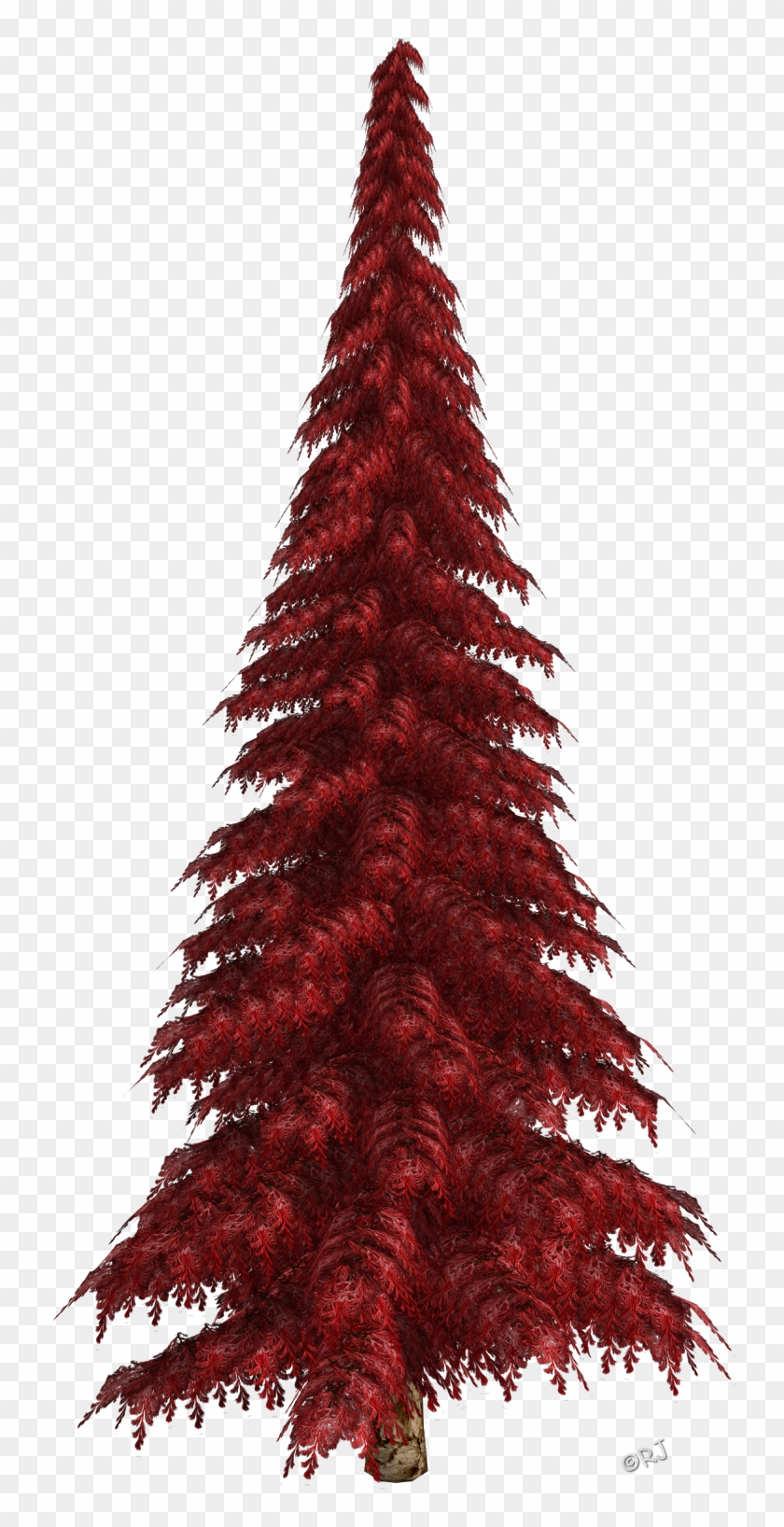 Winter Trees & Christmas Trees - Christmas Lights #1020012