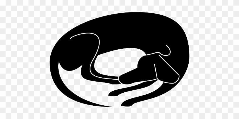 Dog Resting Sleeping Dog Dog Dog Dog Dog - Dog Sleeping Vector #1020091