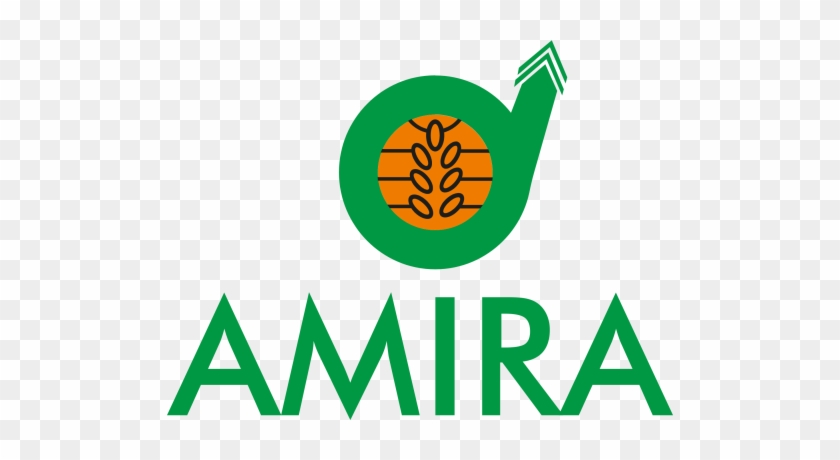 Amira Nature Foods Ltd Announces It Is A Gold Sponsor - First American Equipment Finance Logo #1020286