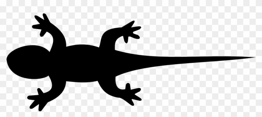 Lizard Clipart Simple - Silhouette Lizard #1020552