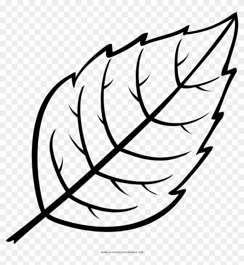 Leaf Coloring Page - Folha Desenho Para Colorir #1020559