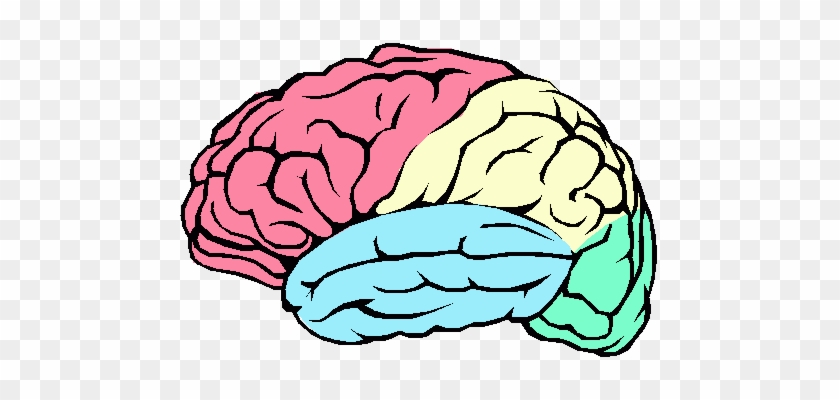Fresh Clipart Brain Brain Diagram Blank Clipart Best - Dementia And The Brain #1020811