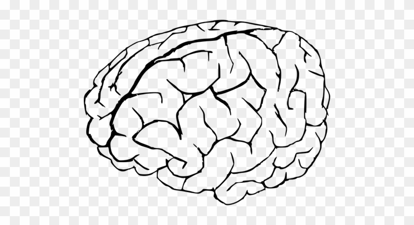 Vector Graphics Of Human Brain In White And Black Public - Brain Coloring Page #1020827