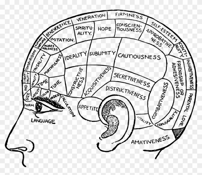 Drawn Brain Black And White - Black And White Brain Diagram #1020838