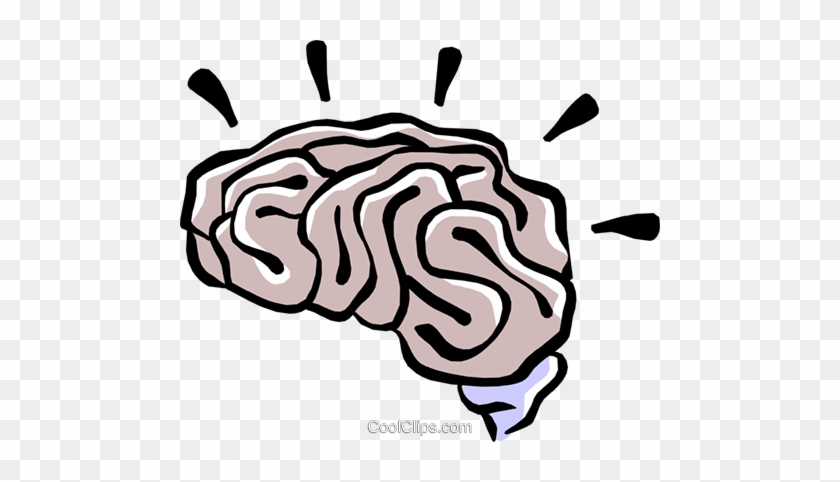 Human Brain Royalty Free Vector Clip Art Illustration - Brain Clip Art #1020881