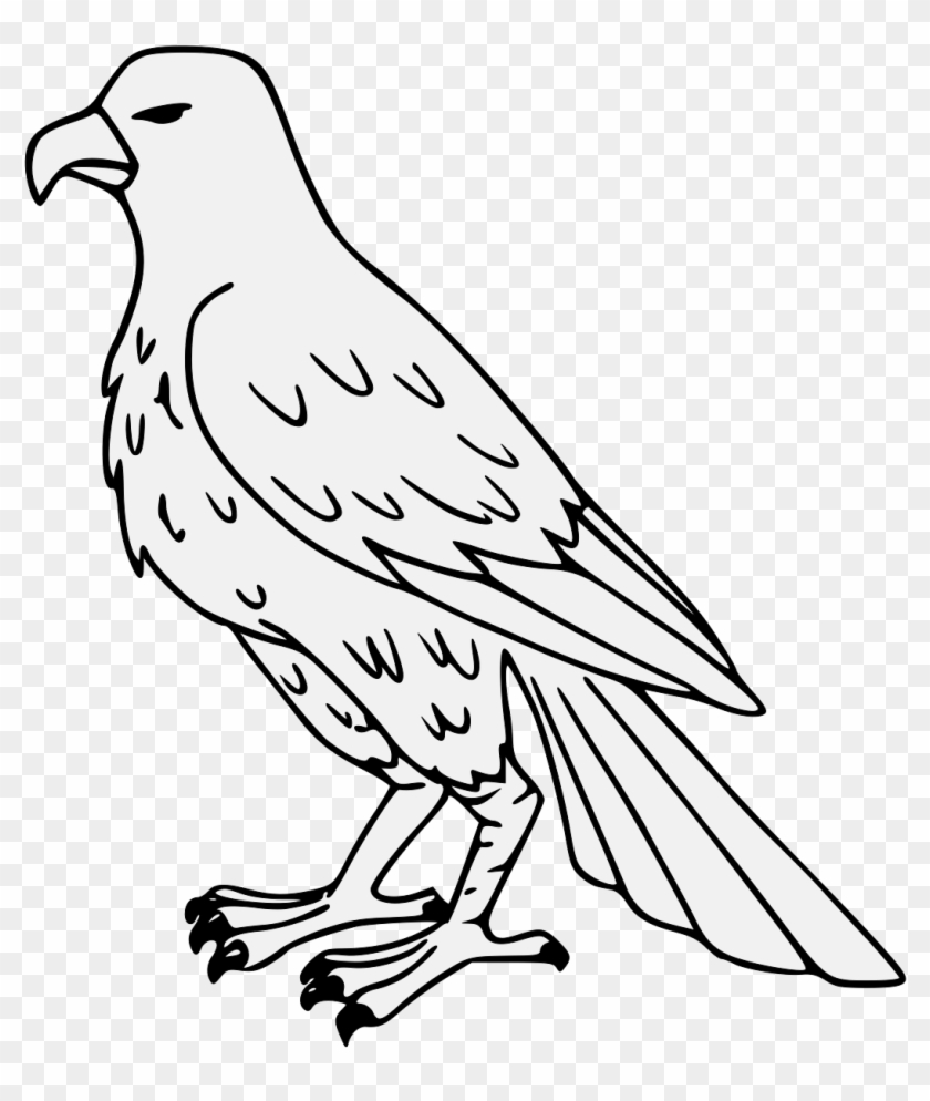 Drawn Falcon Svg - Falcon Drawing Png #1020961