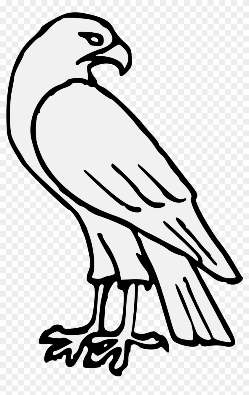 Drawn Falcon Svg - Osprey #1020963