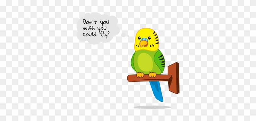 Pet Clipart Pet Bird 10 392 X 323 Dumielauxepices Net - Taking Care Of Pet Birds Clipart #1021029