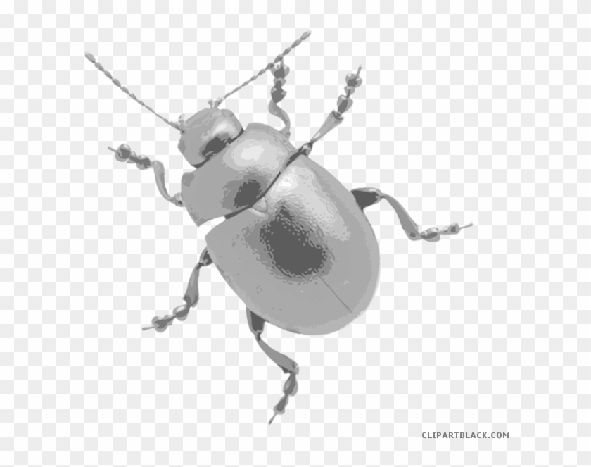 Awesome Bug Animal Free Black White Clipart Images - Chrysomelidae #1021180