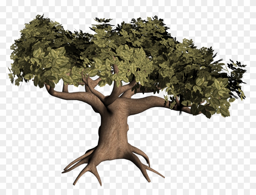 Oak Tree With Roots Clip Art Download - Oak Tree #1021208