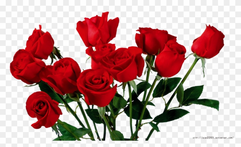 Rose Render Png By Bibo2203 - Aesthetic Red Roses Png #1021262