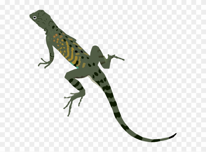 Green Iguana Clip Art - Desert Lizard Clipart #1021275