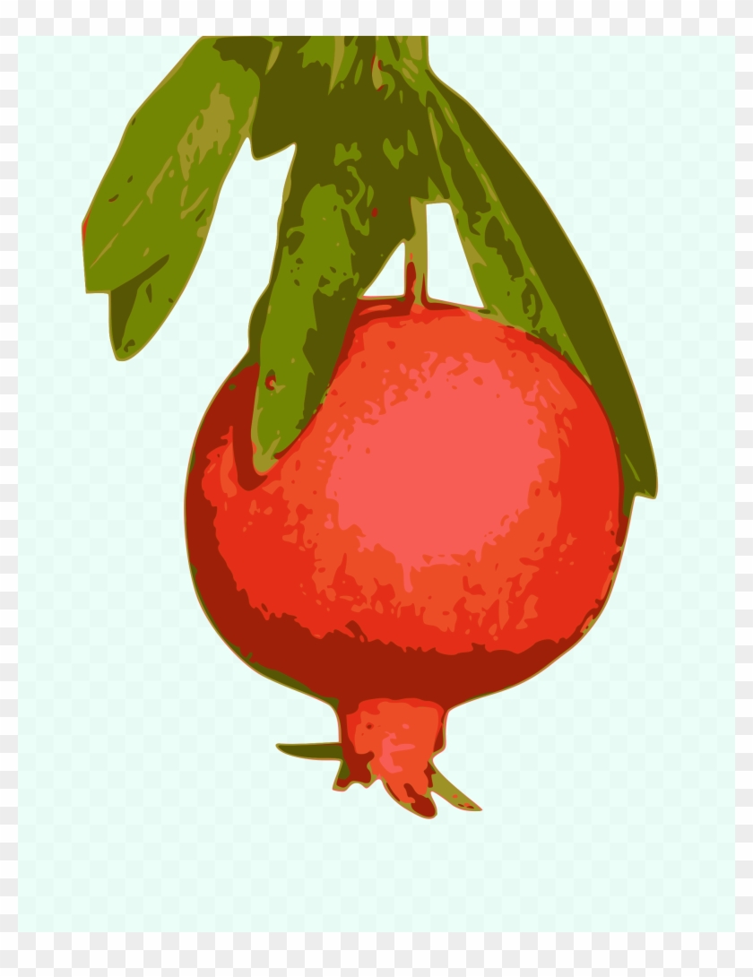 Pomegranate Png - Pomegranate #1021422