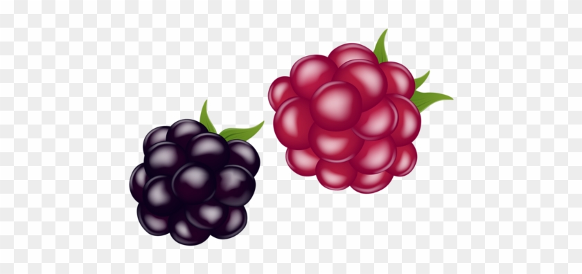 Pomegranate - Clip Art #1021428