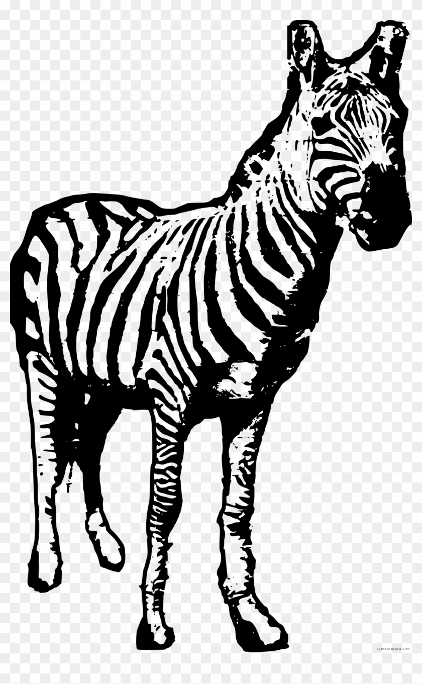 Zebra Animal Free Black White Clipart Images Clipartblack - 斑马 Art #1021851