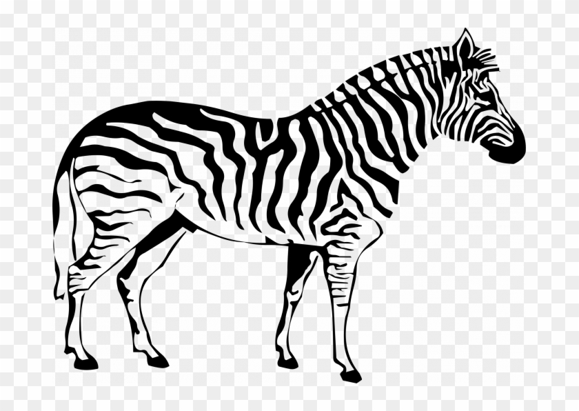 Pin Zebra Clipart For Kids - Zebra Outline #1021853