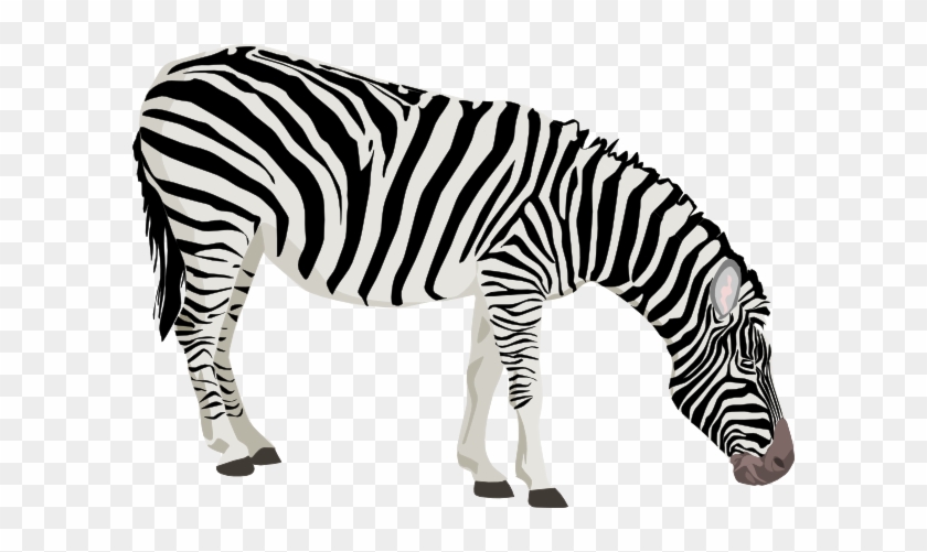 Free Grazing Zebra Clip Art - Зебра Детям #1021862