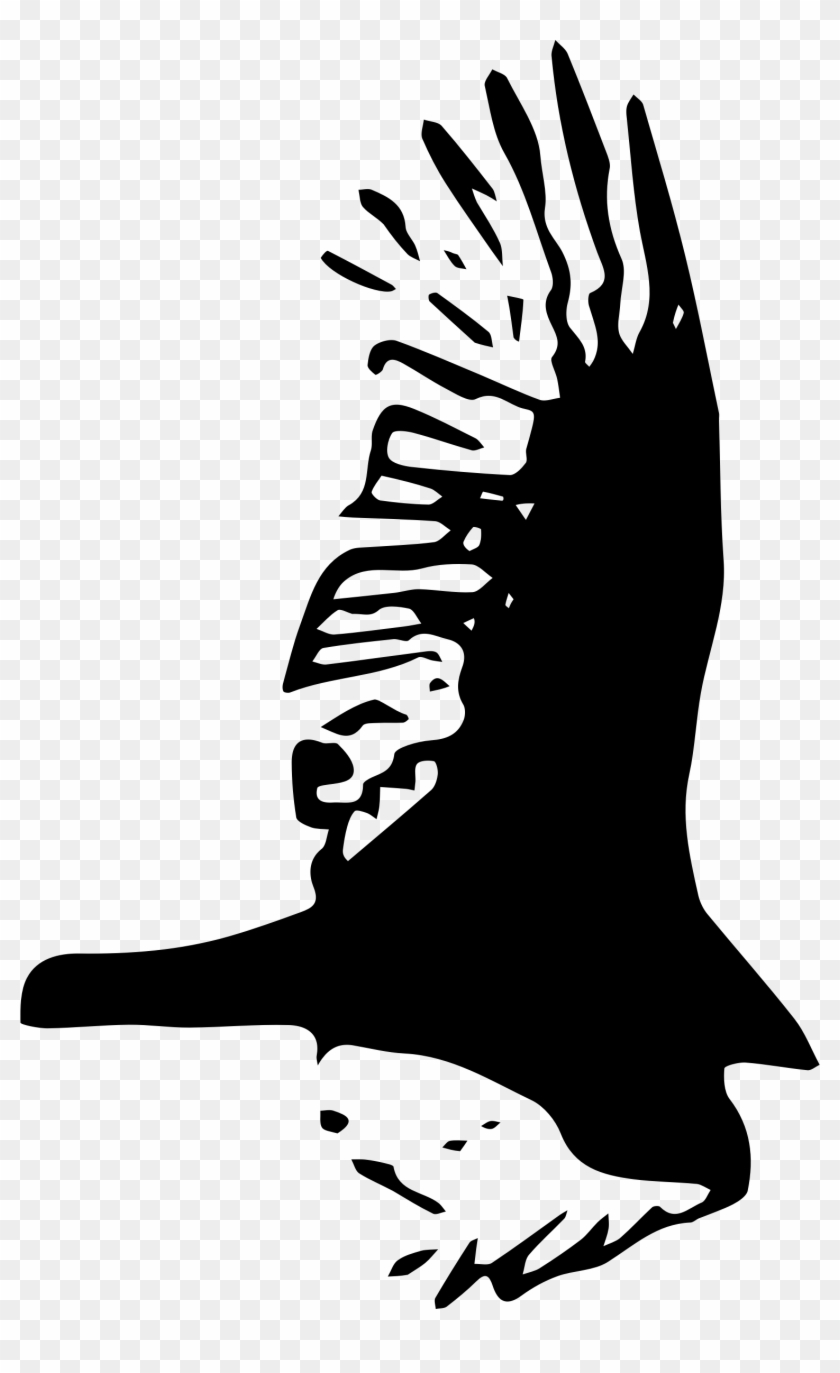 Big Image - Big Hawk #1021887