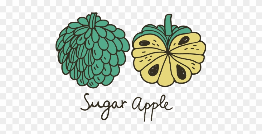 Sugar Apple Clipart - Sugar Apple Clipart #1021949