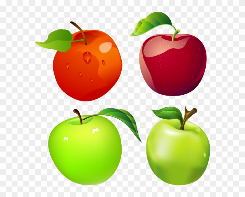 Apples Vector #1022061