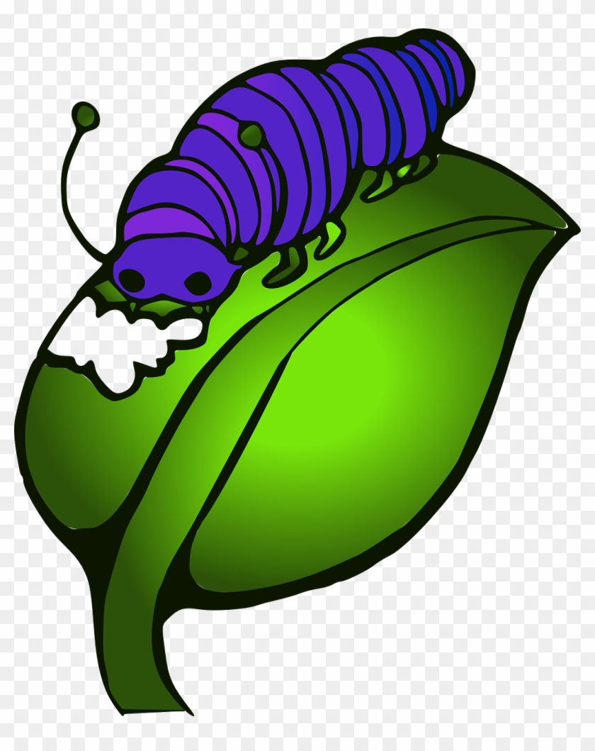 Caterpillar Leave Eat Blue Png Image - หนอน ผีเสื้อ กา ตู น #1022104