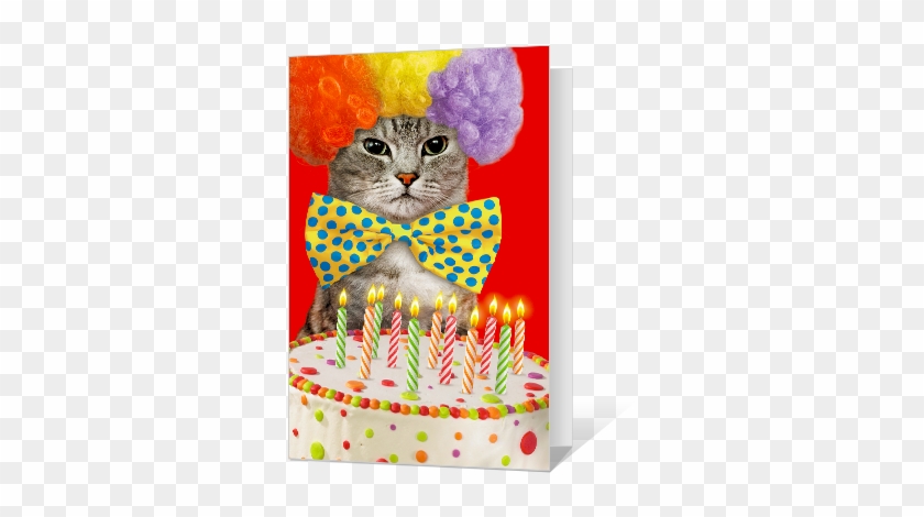 Birthday Catittude Greeting Card Birthday Card - Happy Birthday Wish With Cat #1022138