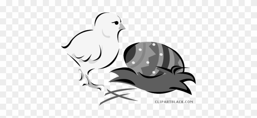 Easter Chick Animal Free Black White Clipart Images - Ostern-küken Und Gemaltes Ei Karte #1022172